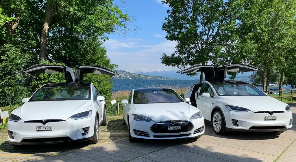 Elektrofahrzeuge von Limo Tesla am See